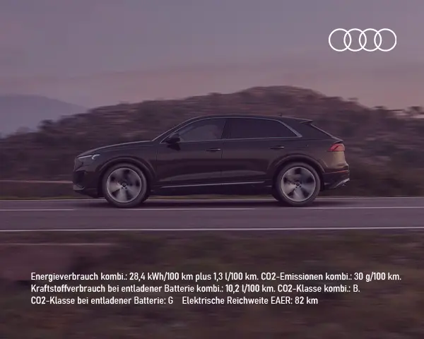 Der Audi Q7 und Q8